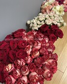 Анкета проститутки Сабина - метро Черемушки, возраст - 25