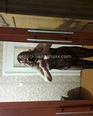 Анкета проститутки Алина - метро Фили-Давыдково, возраст - 35